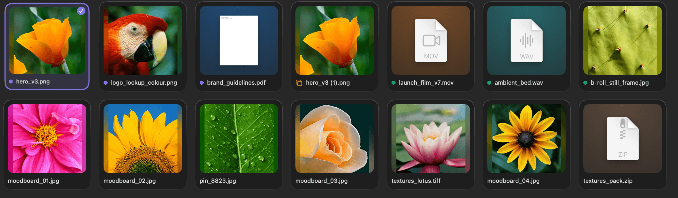 Two rows of the grid view with large previews of downloads: photos, PDFs, a movie, an audio file and a zip.